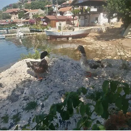 萨赫勒膳食公寓 招待所 Kaleucagız